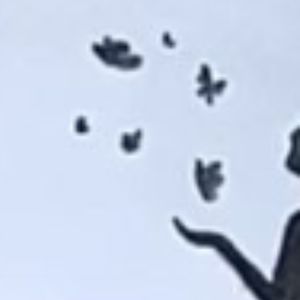 Meet your Posher, Eva